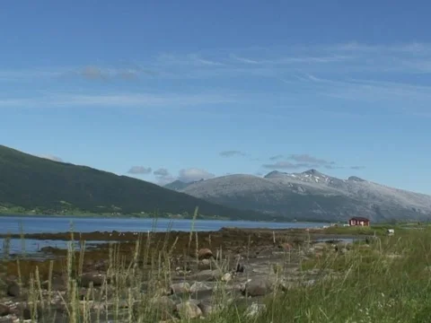 White River Video stock 490240