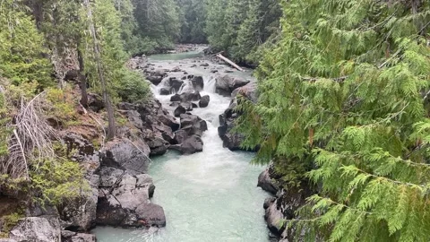 White River, Glacier Peak Wilderness Washington Stock-Footage 221581297