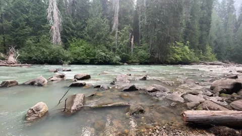 White River, Glacier Peak Wilderness, Washington Stock-Footage 221581300
