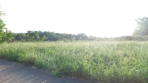 White River - Pan up of the River Video stock 112224921