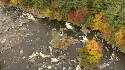 White river rapids flowing through rocky forest in autumn in Canada Stock Footage 119187156