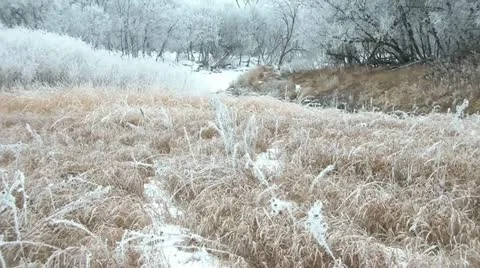 White River Trees with Brown Grass in Winter 스톡 동영상 11082377