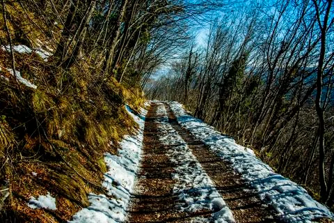White road with snow Stock Photos