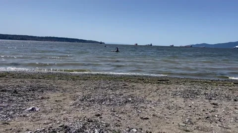 White Rock Beach Stock-Footage 239950681