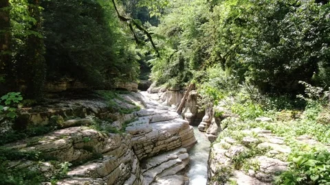 White Rock Canyon, Khosta River Along Cliffs in forest . Sochi, Russia Stock Footage 314817385
