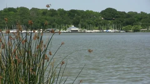 White Rock Lake Video stock 10598361