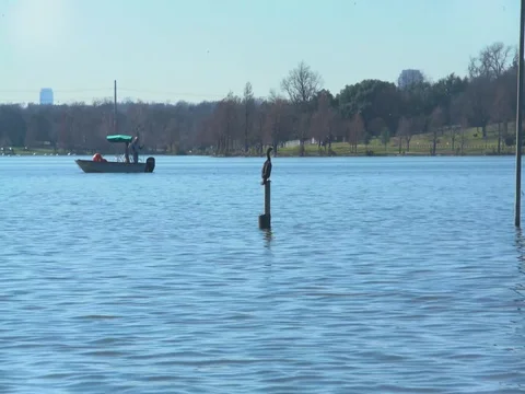 White Rock Lake Stock Footage 77885125