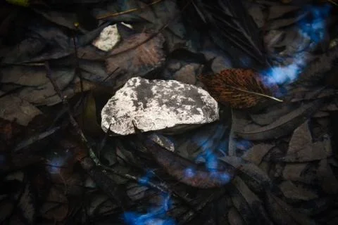 A white rock in a stream full of fallen leaves Stock Photos