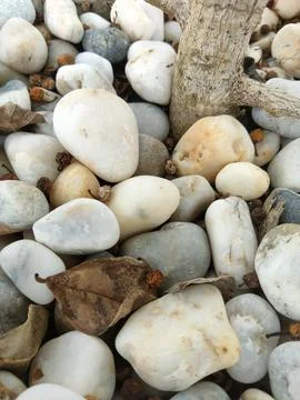 White rocks Stock Photos