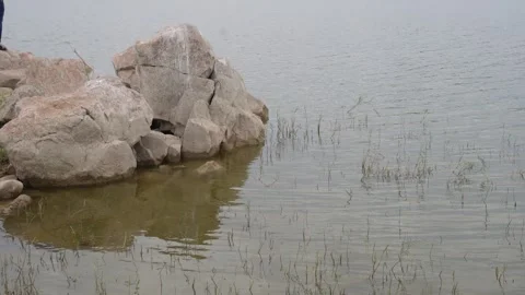 White Rocks Reflected in Shallow Water Stock Footage 337389268