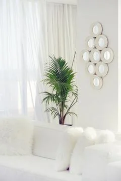 White room with sofa. Stock Photos