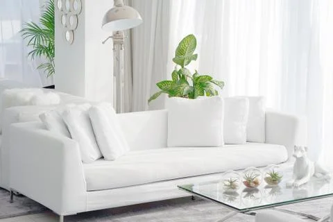White room with sofa. Stock Photos