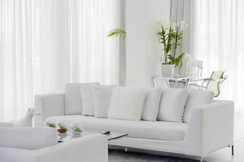 White room with sofa. Stock Photos
