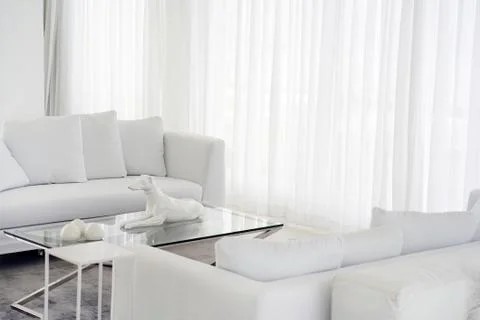 White room with sofa. Stock Photos