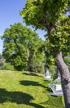 White rope hammocks hanging between green trees Stock Photos