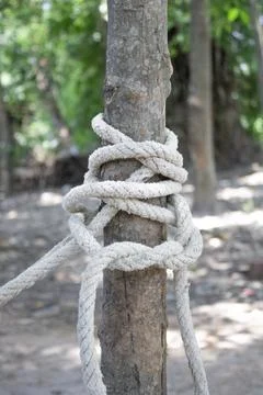 White rope tied to the tree Stock Photos