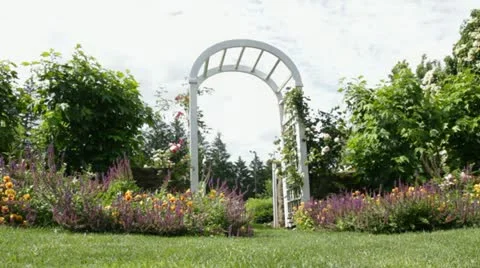 White Rose Arch Dolly 스톡 동영상 11802361