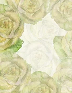 White rose background Stock Illustration