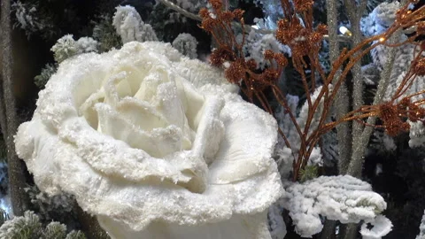 White rose on Christmas tree. Stock Footage 121215115