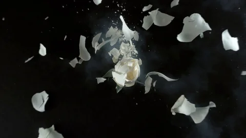 White rose flower exploding in super slow motion, shot with Phantom Flex 4K Stock Footage 84299257