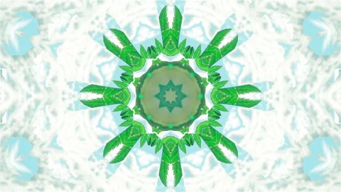 White rose flower in kaleidoscopic pattern. Vidéo 263648216