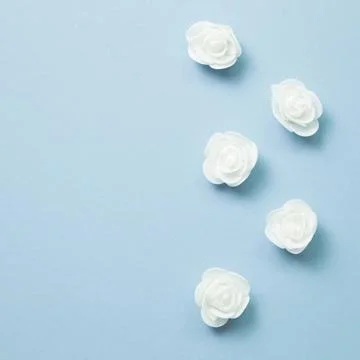 White rose flower pattern on blue background White rose flower pattern on ... Stock Photos