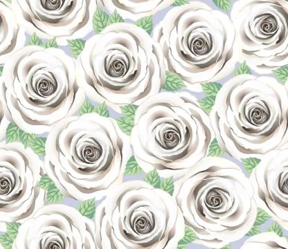 White Rose Flower Vector Pattern. Cite Floral Seamless Background. Stock Illustration