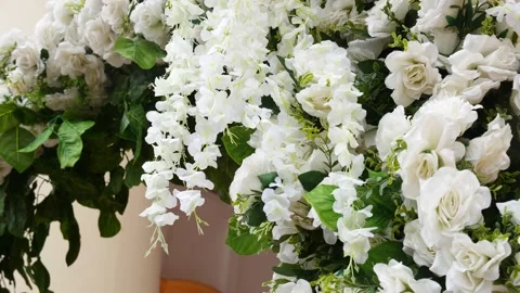 White Rose Video stock 205115809