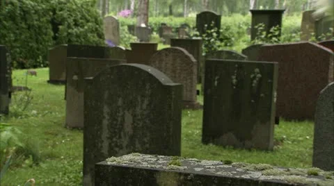 A white rose on a grave Stock Footage 11293190