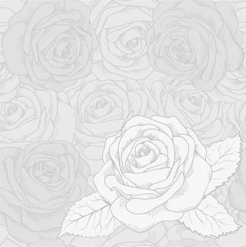 White rose on a gray seamless background Stock Illustration