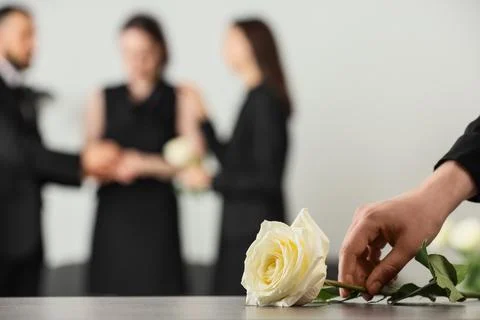 White rose with grieving people in background at funeral Stock Photos