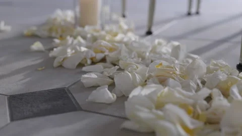White rose petals on ground close up wedding chairs Stock-Footage 170384111