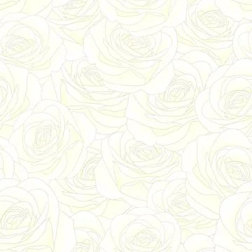 White Rose Seamless Background Stock Illustration