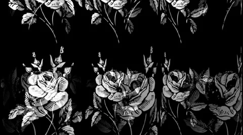 White Rose Tubes Видео 34294893