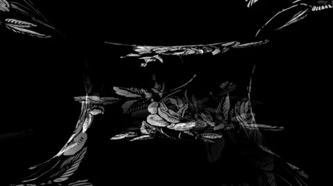 White Rose Warpcore 2 Stockbeeldmateriaal 34294762