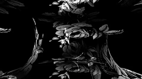 White Rose Warpcore Vidéo 34294804