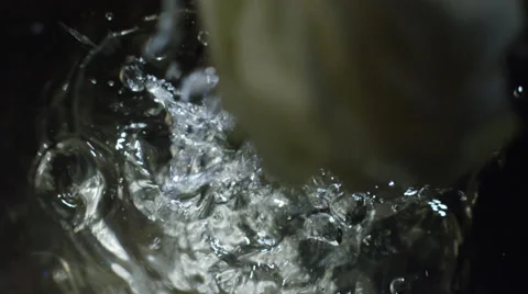 White rose/camelia falling into water Stock Footage 65870476
