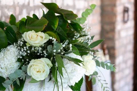 White roses and hydrangeas creating elegant floral arrangement 库存照片