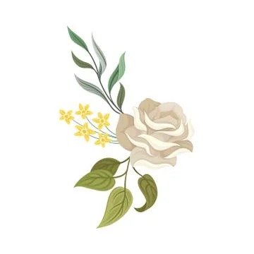 White Roses and Twigs Vector Elements Set For Decoration Stock Illustration
