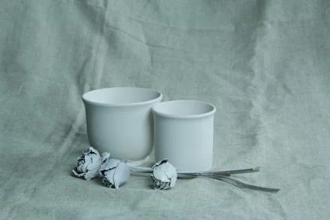 WHITE ROSES BACKGROUND Stock Photos