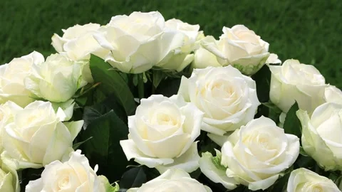White roses bouquet rotating, wedding, gift,  Stock Footage 226900366