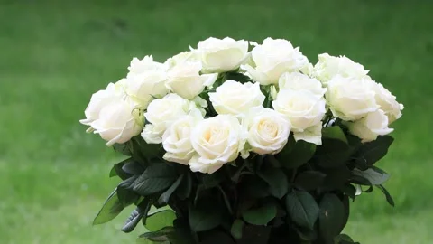 White roses bouquet rotating, wedding, gift,  Stock Footage 226900563