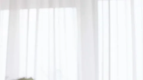 White roses break against Stock Footage 237481864