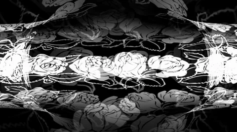 White Roses Circle 動画素材 34294735