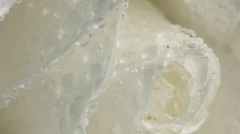 White roses Stock-Footage 24807079