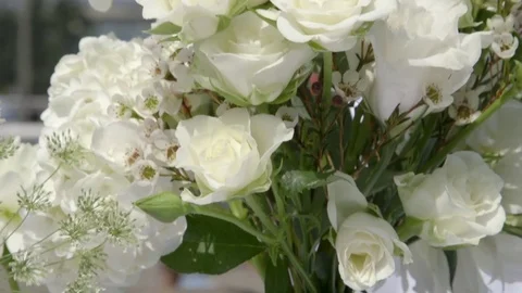 White roses  Stock Footage 81044413