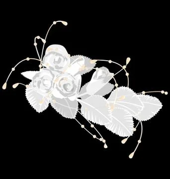 White roses isolated on black Stock-Illustration