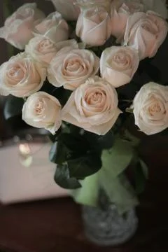 White Roses Stock Photos
