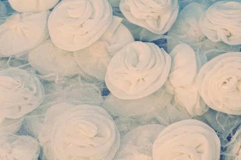 White roses Stock Photos