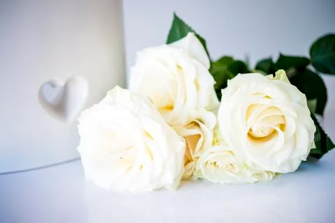 White roses Stock Photos